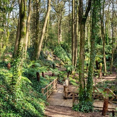 Blarney Castle & Gardens