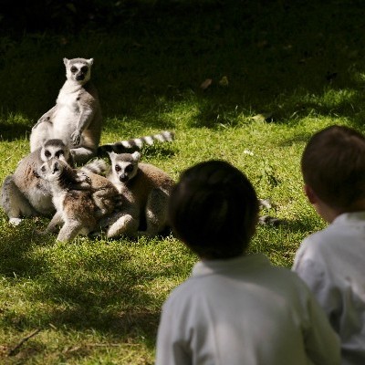 Fota Island Wildlife Park